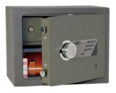 Safetronics NTR 22EMs